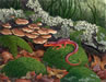 Salamander w/Turkey Tails